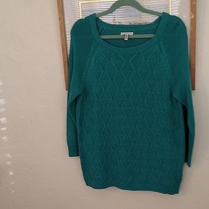 Croft and Barrow Kelly Green Sweater Size L - New With Out Tags - $9